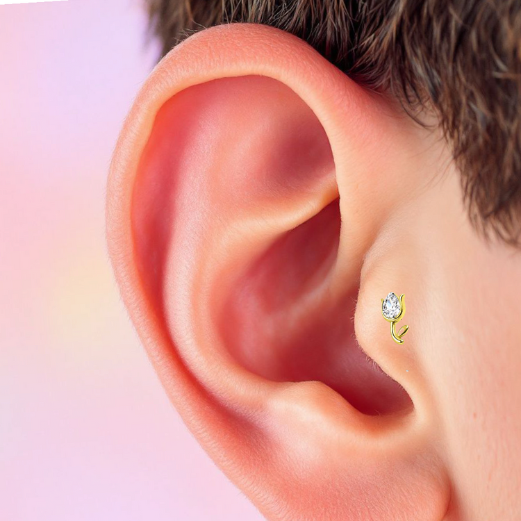 Piercing trago