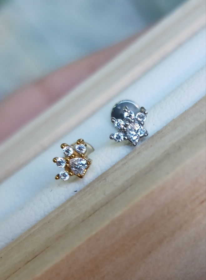 piercing labret zampetta in acciaio