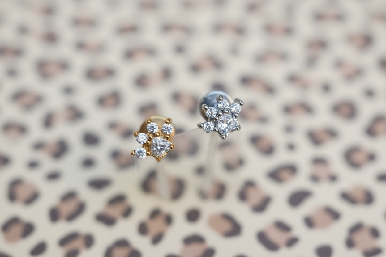 piercing labret zampetta in acciaio