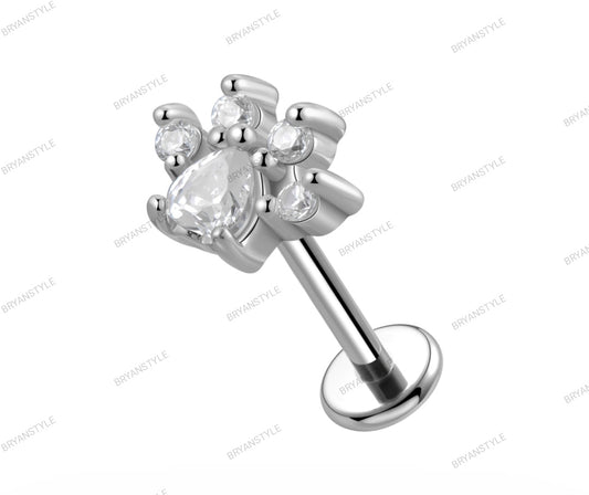 piercing labret zampetta in acciaio